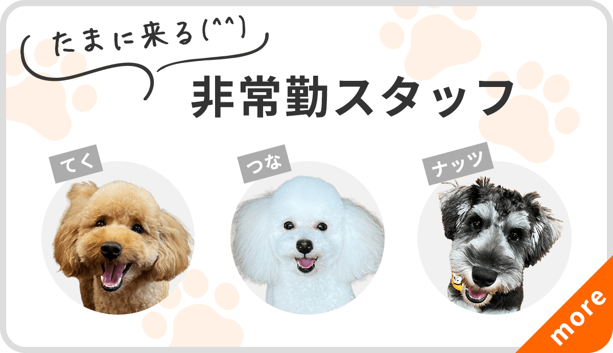 たまに来る(^^)　非常勤スタッフ